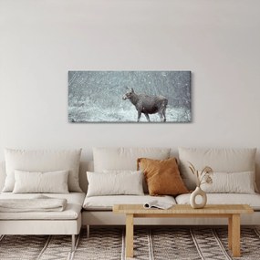 Tablou - Elan într-o pădure înzăpezită (120x50 cm)