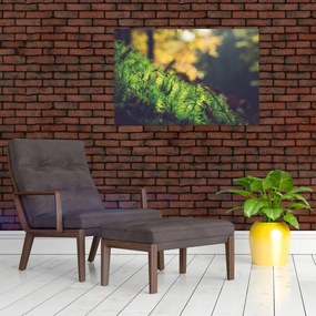 Tablou - Ciupercă și muschi (90x60 cm)