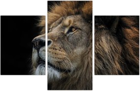 Tablou - Leul maiestuos (90x60 cm)