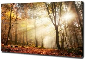 Tablou pe pânză Ceață în pădure