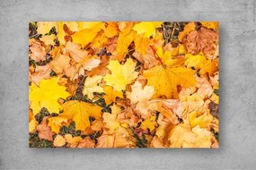 Tablou Canvas - Covorul de frunze