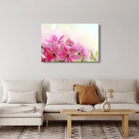 Tablou - Flori roz (90x60 cm)