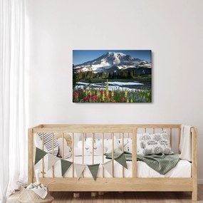 Tablou - Muntele Rainier (90x60 cm)
