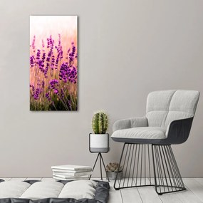 Print pe canvas Câmp de lavandă