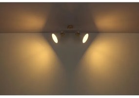 Globo 54018-2 - Lampă spot WIHO 2xE27/40W/230V