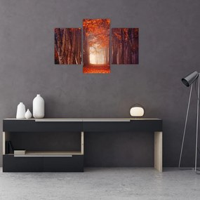 Tablou - Pădurea de toamnă (90x60 cm)