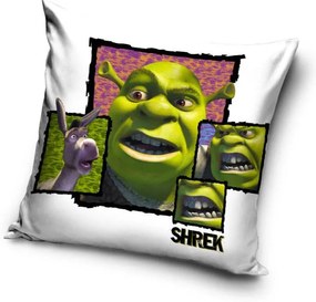 Shrek husă de pernă 40x40 cm Catifea