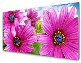 Tablouri acrilice Flori Floral Roz Galben Albastru