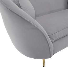 Canapea de design cu 2 locuri, ţesătură Velvet gri/gold crom auriu, EZIO TYP 2