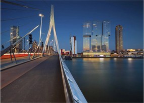 Tablou pe sticlă - Amurg în Rotterdam, Olanda (70x50 cm)