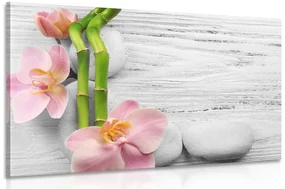 Tablou compoziția delicată Zen