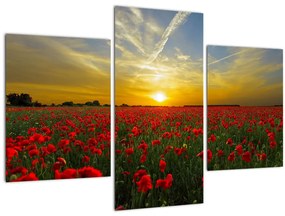 Tablou cu câmp cu maci (90x60 cm)