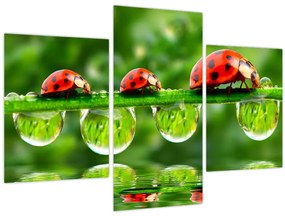 Tablou - Soarele celor șapte sori (90x60 cm)