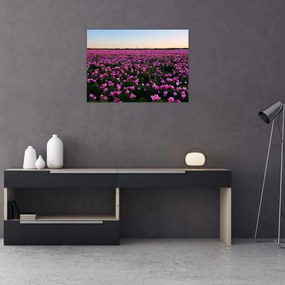 Tablou pe sticlă - Pajiștea cu lalele violet (70x50 cm)
