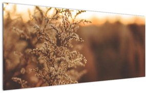 Tablou - Iarba înflorită (120x50 cm)
