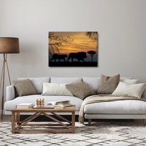 Tablou cu Safari (70x50 cm)