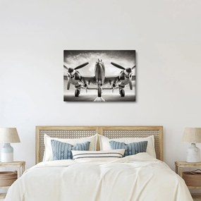 Tablou - Warbird (70x50 cm)
