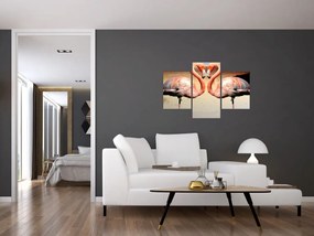 Tablou - doi flamemgo (90x60 cm)