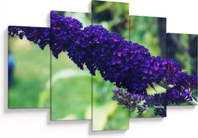 Tablou cu floare albastră (150x105 cm)