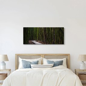 Tablou - Între bambus (120x50 cm)
