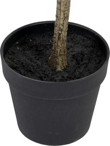 Eucalipt artificial (înălțime 180 cm) Eucalyptus – Ixia