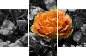 Tablou cu floare (90x60 cm)