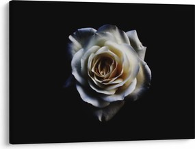 Tablou cu trandafir alb (70x50 cm)