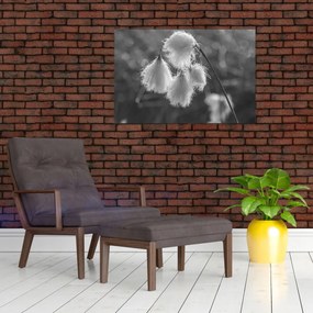 Tablou - Iarba de bumbac (90x60 cm)