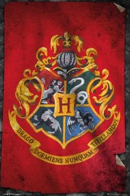 Poster Harry Potter - Hogwarts Flag, (61 x 91.5 cm)