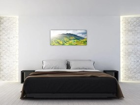Tablou plantație (120x50 cm)