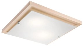 Plafonier 2xE27/60W/230V, iluminare plafon simplă și eficientă
