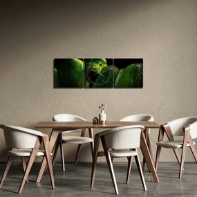 Tablou - Șarpele verde (cu ceas) (90x30 cm)