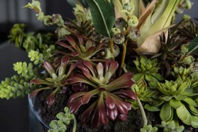 Aranjament floral elegant, design LUX CYMBIDIUM PLANT