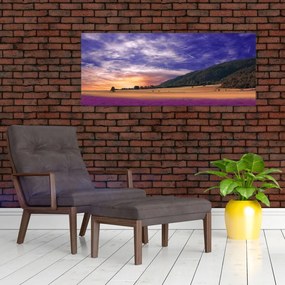 Tablou cu lunca cu lavandă (120x50 cm)