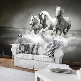 Fototapet - Unicorn (152,5x104 cm)