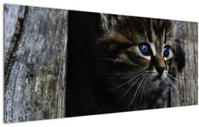 Tablou cu pisicuța (120x50 cm), în 40 de alte dimensiuni noi