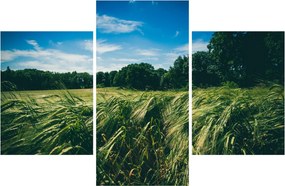 Tablou cu linca și pădure (90x60 cm)