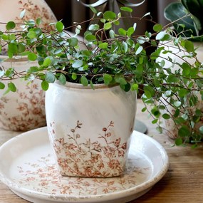 Ghiveci crem, din ceramica, cu motive florale, H13/D12cm, Chaville