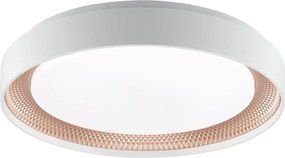 Brilliant - Plafonieră LED dimabilă WALDO LED/24W/230V alb/aur roz + telecomandă