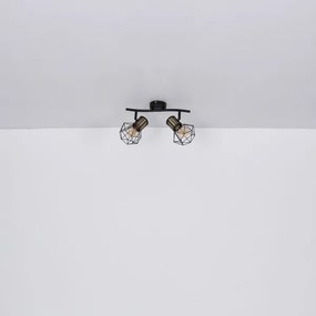 Spot PRISKA 2xE27/40W/230V Globo 54017-2M