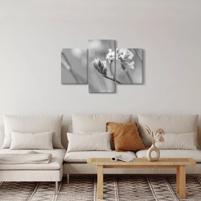 Tablou - Floare înflorită (90x60 cm)