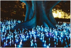 Tablou - Copac magic (90x60 cm)