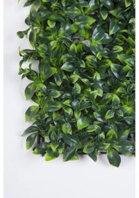 Panou verde artificial, Privet Green, Bizzotto, 50x50 cm