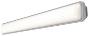 Corp de iluminat LED tehnic Ledvance SUBMARINE LED/18W/230V IP65