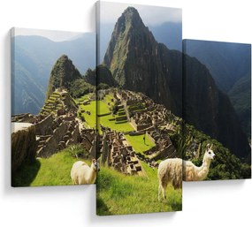 Tablou - Lame in Machu Picchu (90x60 cm)