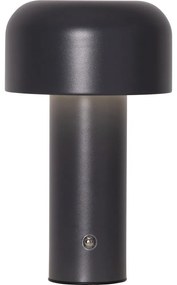 Veioză gri LED (înălțime 21,5 cm) Bobby – Star Trading