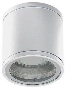 Spot aplicat iluminat exterior IP54 JOE TUBE alb ZZ AZ3315