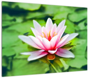 Tablou pe sticlă - Nuferi pe apă (70x50 cm)