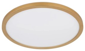 Plafonieră LED dimabilă pentru baie Globo 41562-18MM SAPANA LED/18W/230V IP44