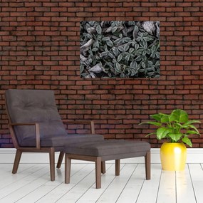 Tablou pe sticlă - Plante înghețate (70x50 cm)